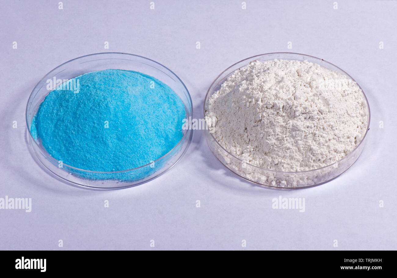 Components of traditional fungicide, Bordeaux mixture, copper sulphate and slaked lime (Calcium hydroxide), widely used in agriculture and gardening Stock Photo