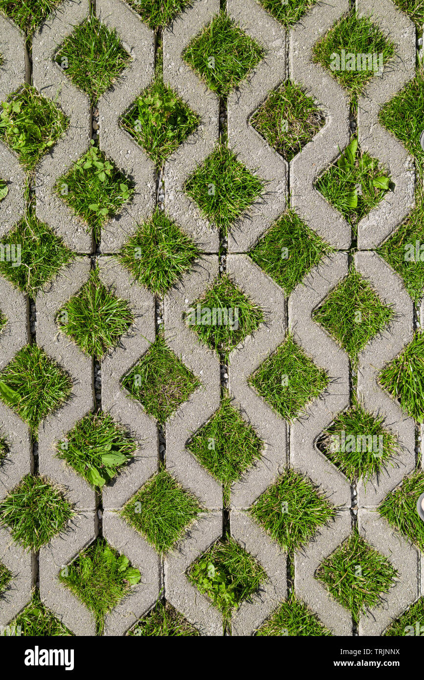 Eco permeable pavement with grass growing through it. Environmentally friendly green parking. Stock Photo