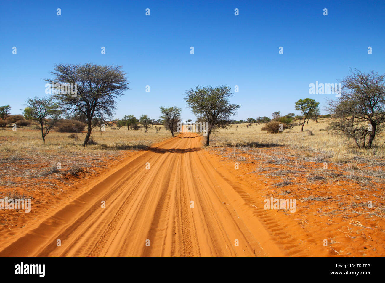 Dusty sandy desert road hires stock photography and images Alamy