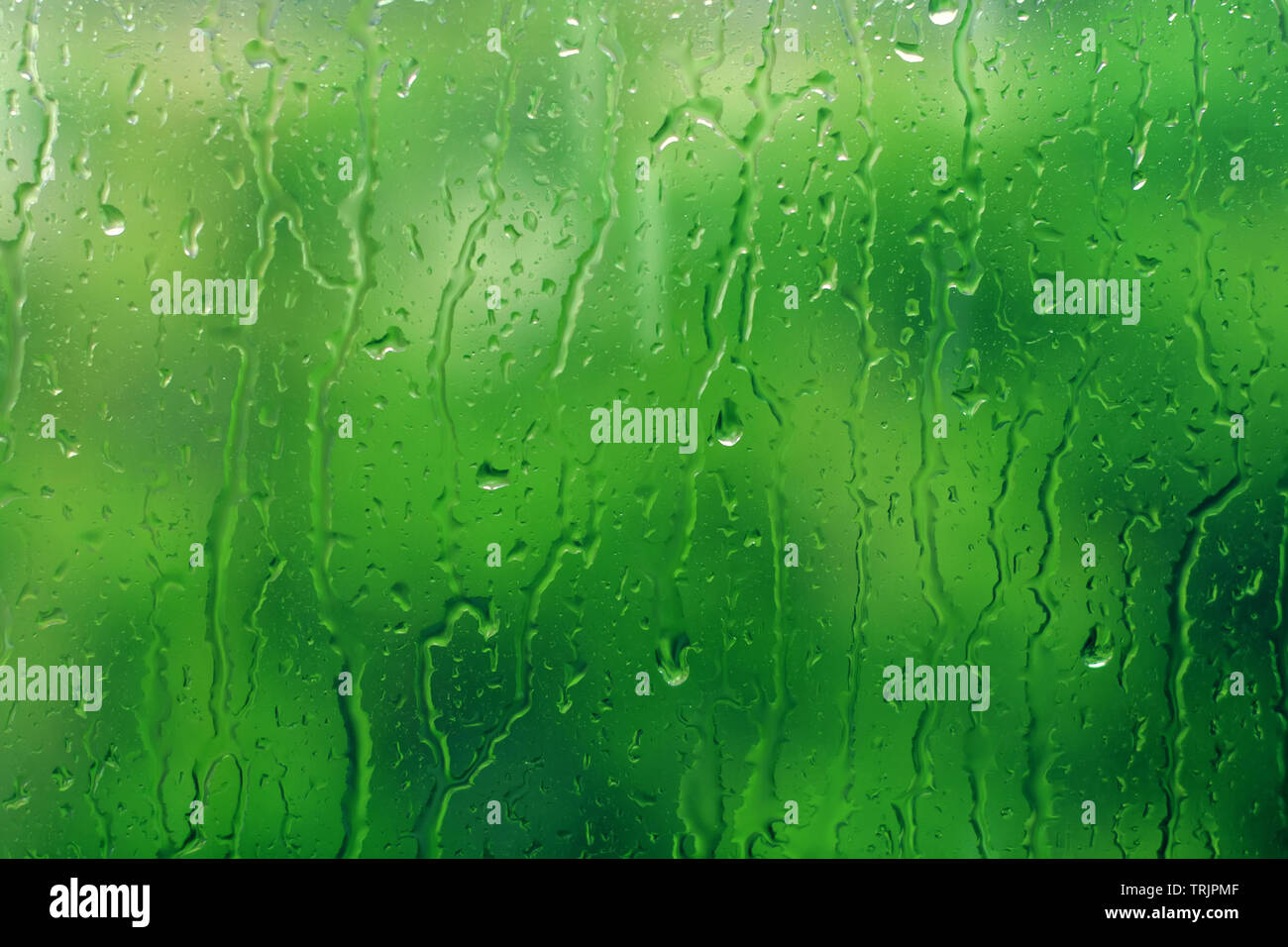 Water Drop Falling Glass Bottle On Stock Illustration 204569611