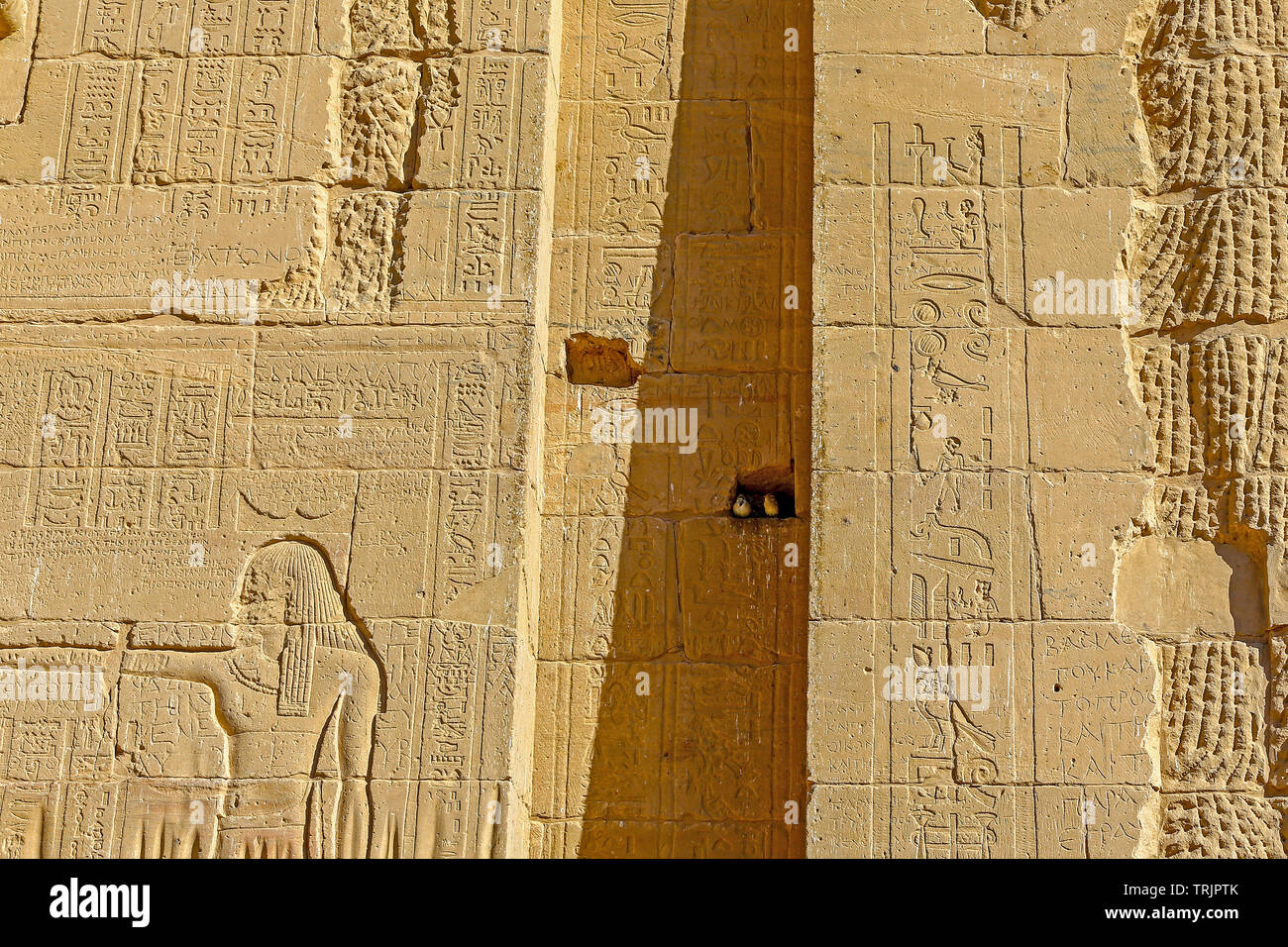 Wall decorations and hieroglyphics of the gods Ra, Osiris and Horus in the Temple of Philae on Agilkia Island in Lake Nasser, Egypt Stock Photo