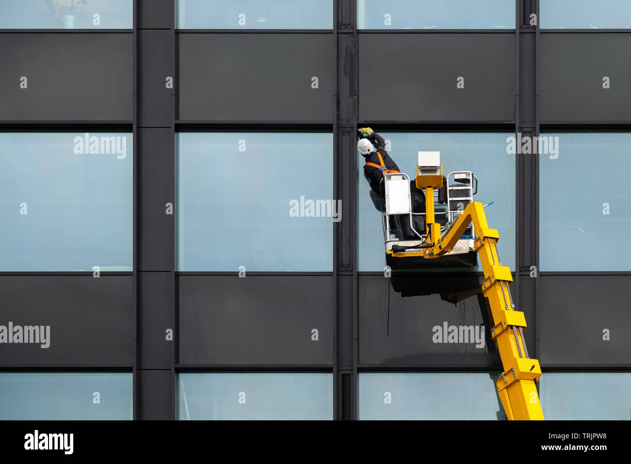 Male window cleaner cleaning glass windows on modern building high in
