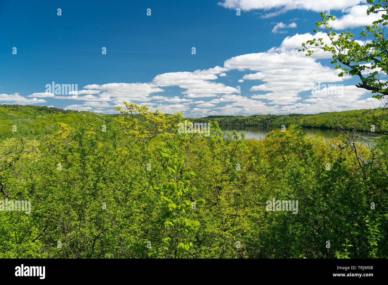 The St. Croix River from Afton State Park, Minnesota in spring with verdant green foliage and blue skies. Stock Photo