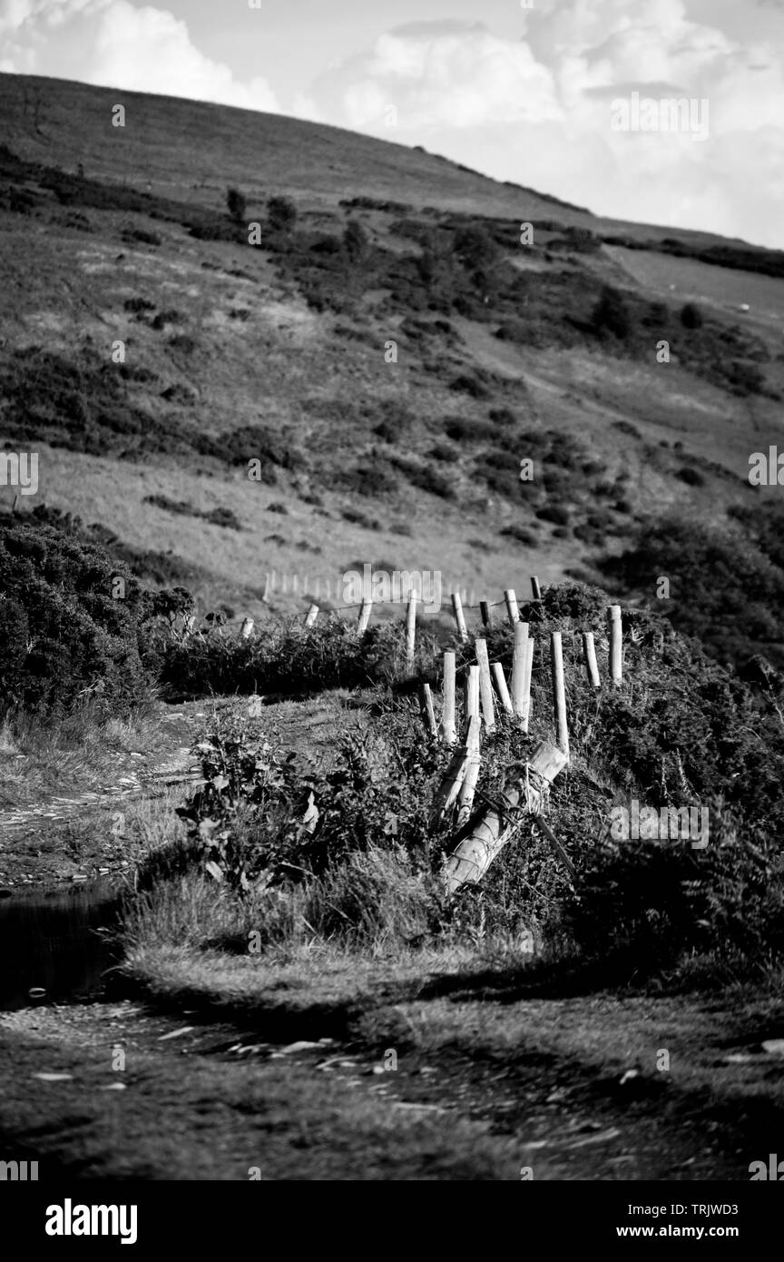 Monochrome or black and white of an old farm track with a fence running alongside it in the mountains of North Wales Stock Photo