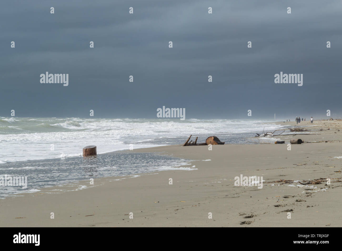 flotsam at the beach on a stormy day Stock Photo