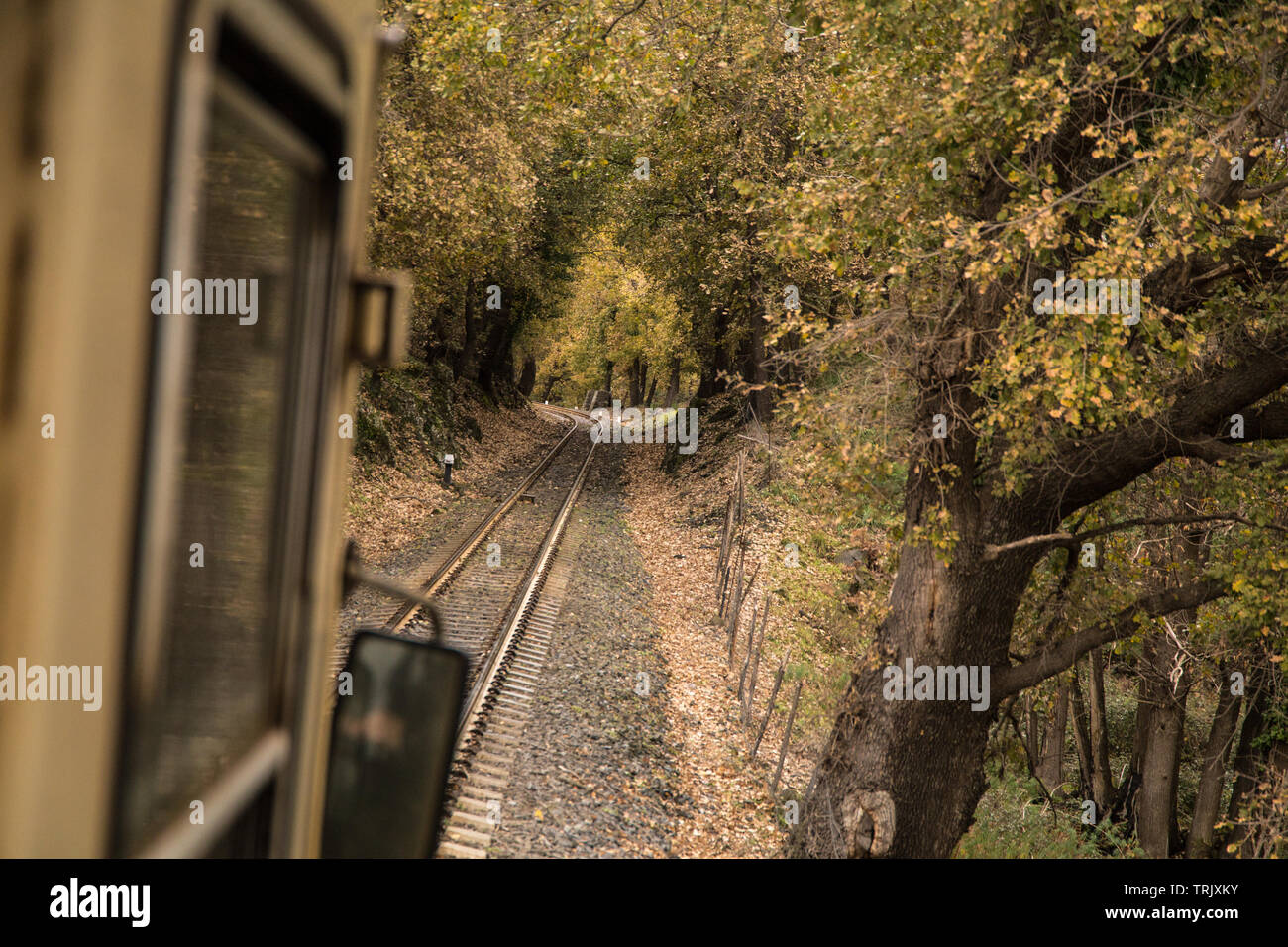 The Circumetnea railway slowly links the Sicilean cities of Catania and Giarre/Riposto trough a 950 mm track that goes around Etna volcano. Stock Photo