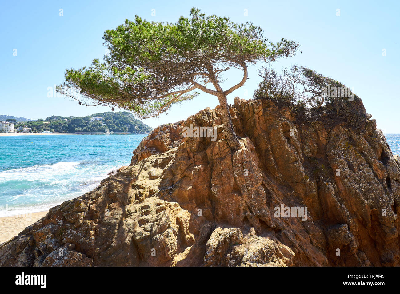 Spain, Spanien, tree, rock, beach, paradise, rest, family, freedom, party, beachparty Stock Photo