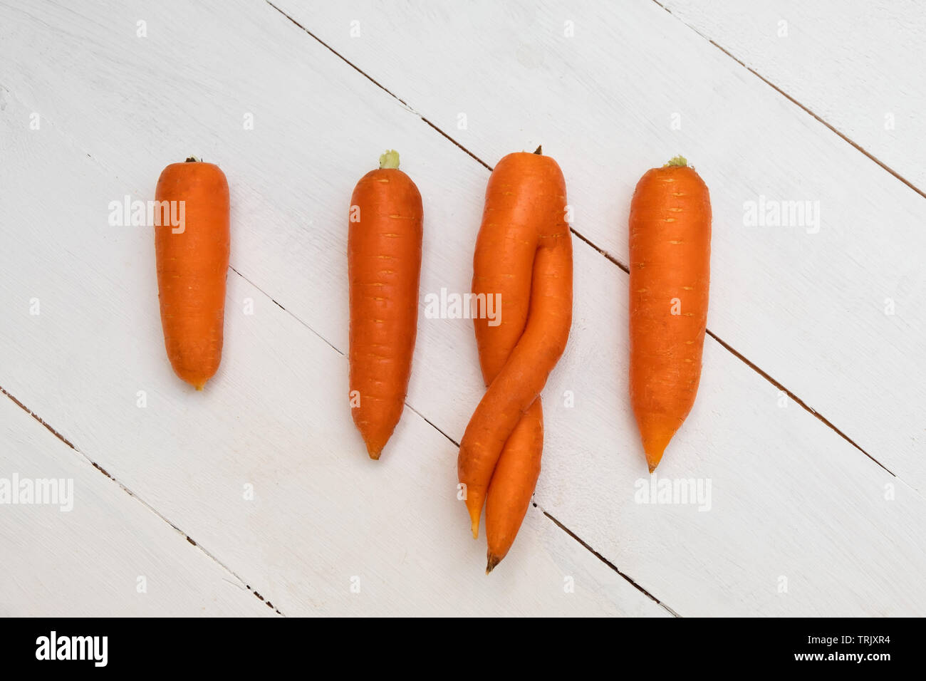 One ugly twisted carrot among 3 normal carrots on white wooden background, horizontal orientation. Stock Photo