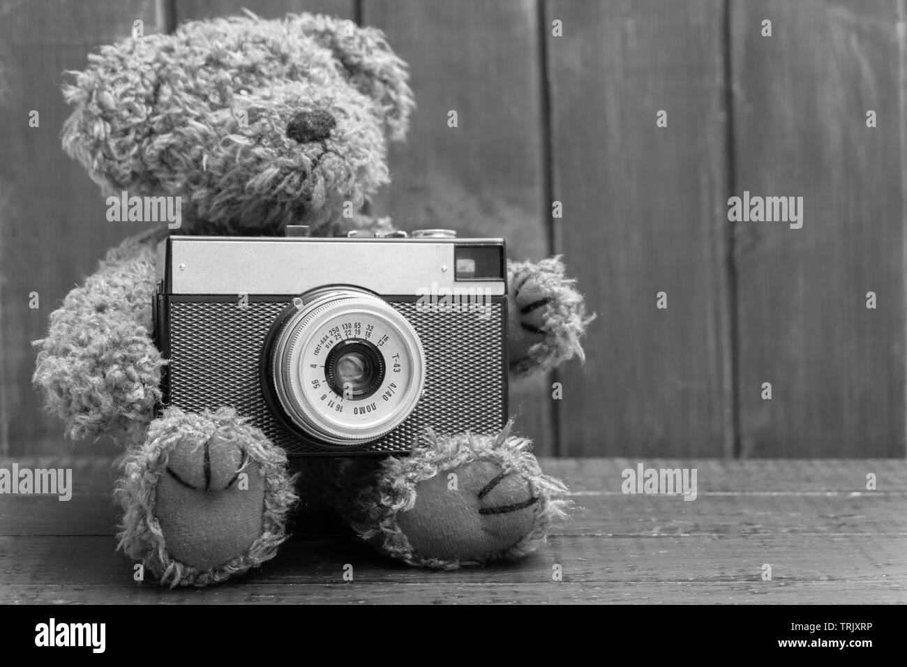 Black and white image of teddy bear holding old retro photo camera on ...