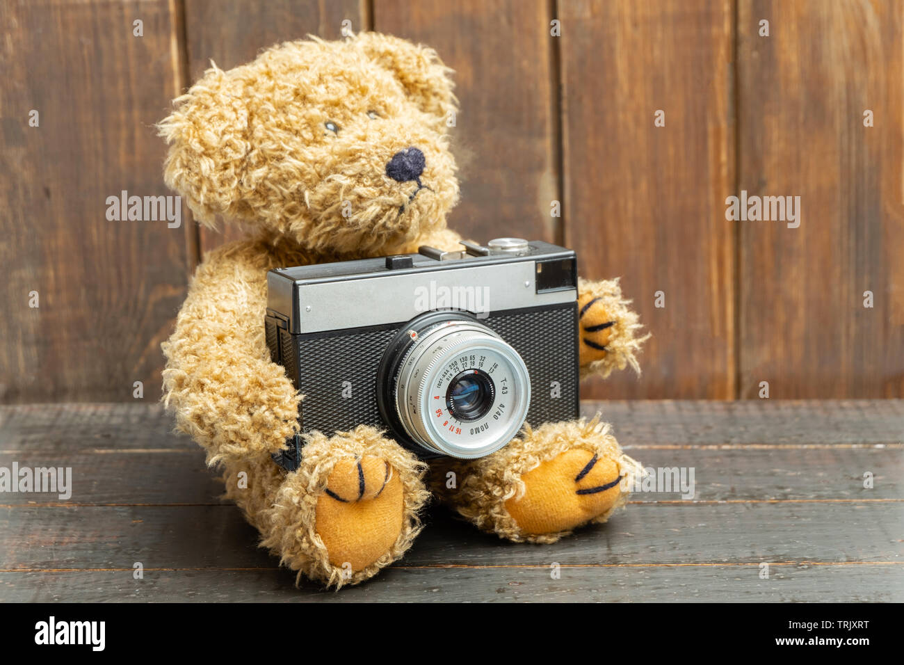 Brown teddy bear holding old vintage photo camera on wooden ...