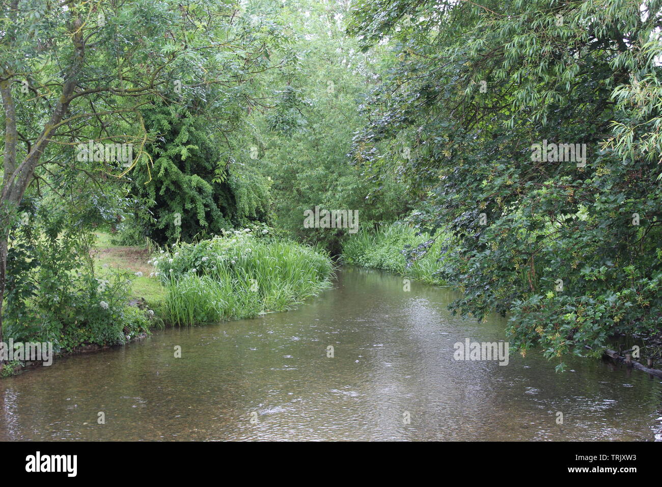 River Darent 4 Stock Photo Alamy