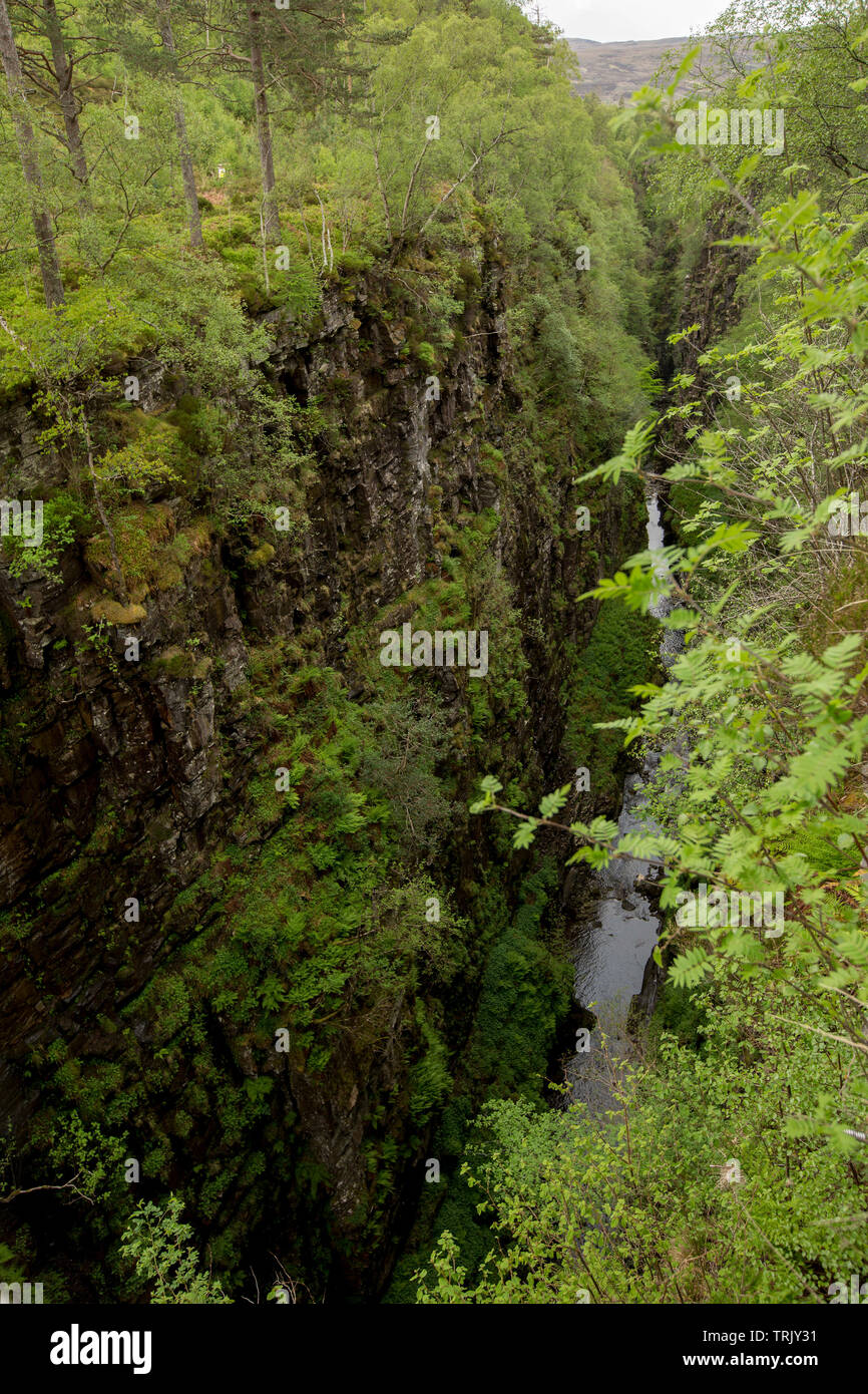 Corrieshalloch gorge, a popular tourist attraction, with river flowing in bottom of deep fissure lined with woodlands near Ullapool in Scotland Stock Photo