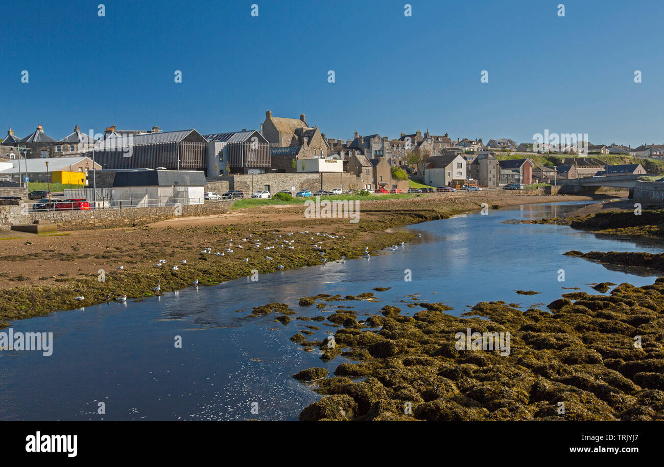 Town of Wick, Caithness Scotland with buildings huddled beside calm waters of River Wick and seagulls on bank under blue sky Stock Photo
