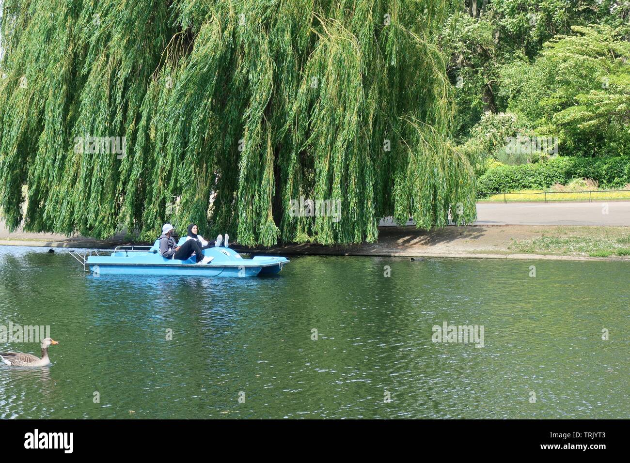 Pedal boating london hires stock photography and images Alamy