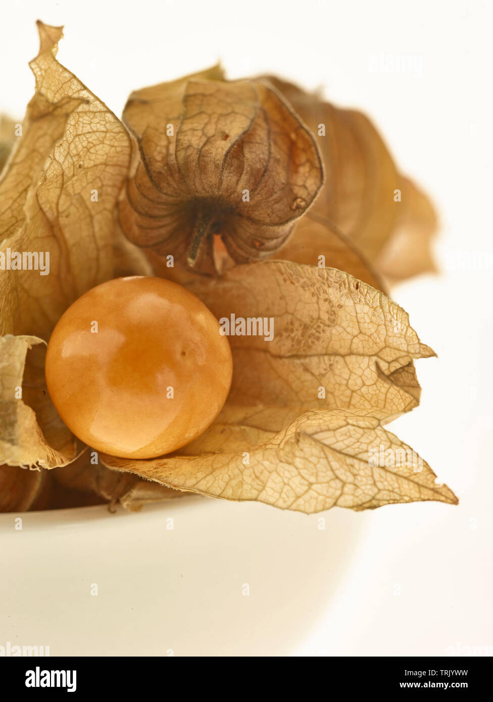 Cape gooseberry fruit in lantern food photograph Stock Photo - Alamy