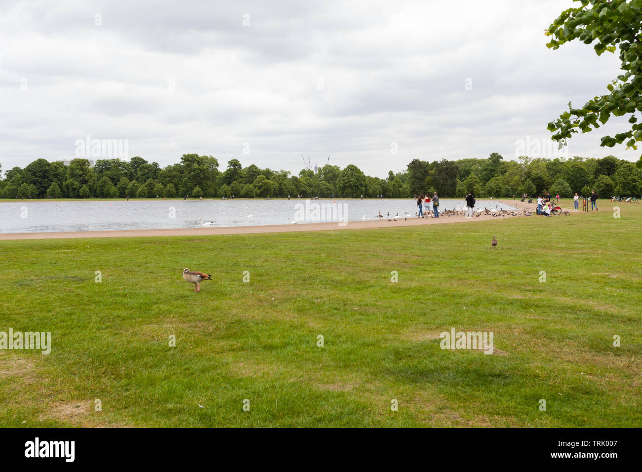 Kensington Palace, The Round Pond, London, England, United Kingdom ...