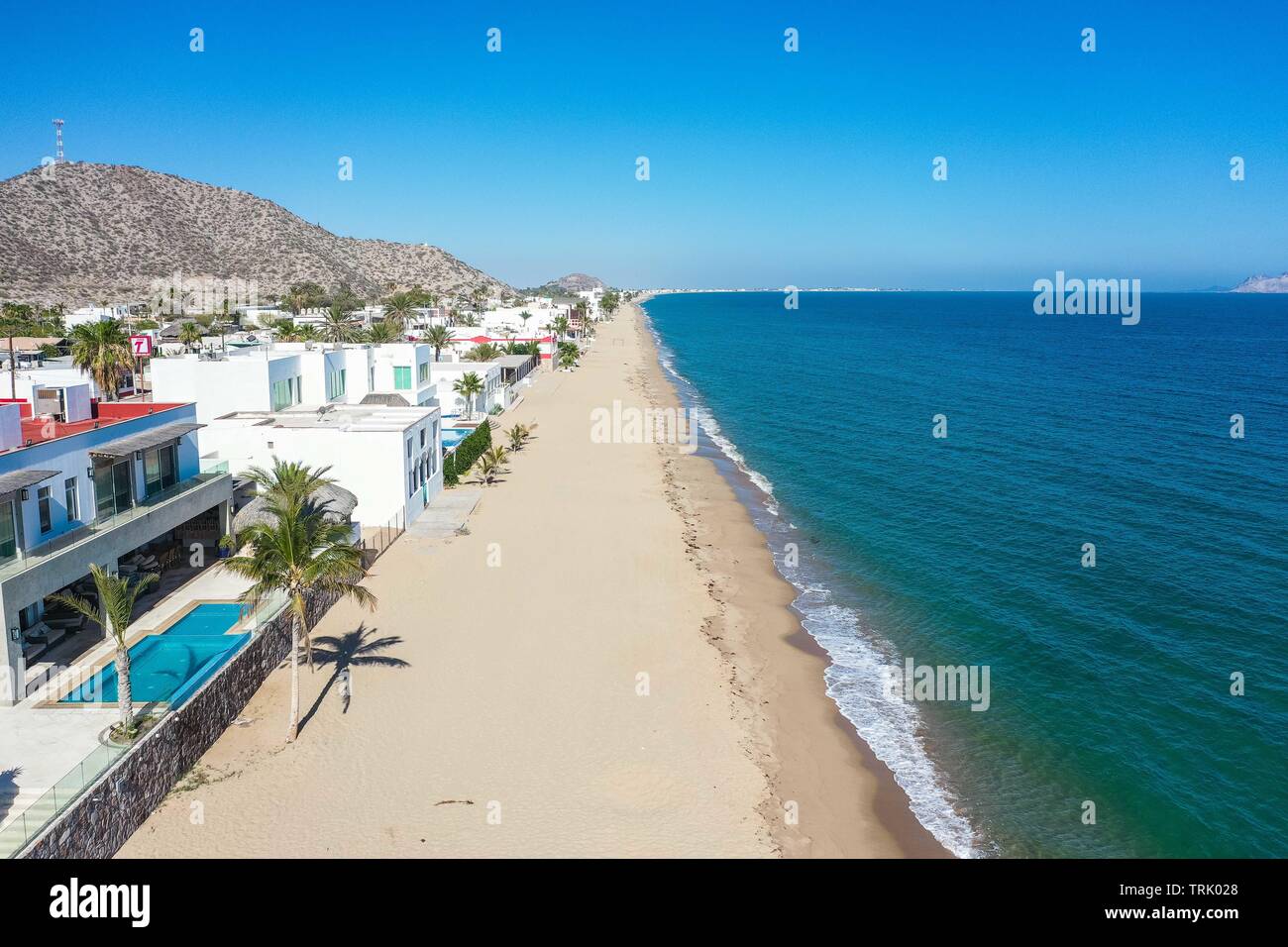 alamy