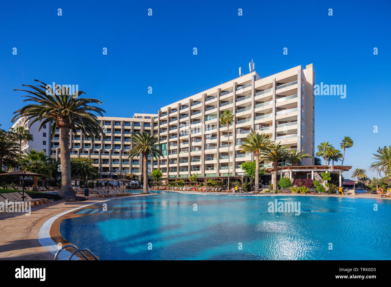 Europe Spain Canary Islands Fuerteventura Costa Calma - 