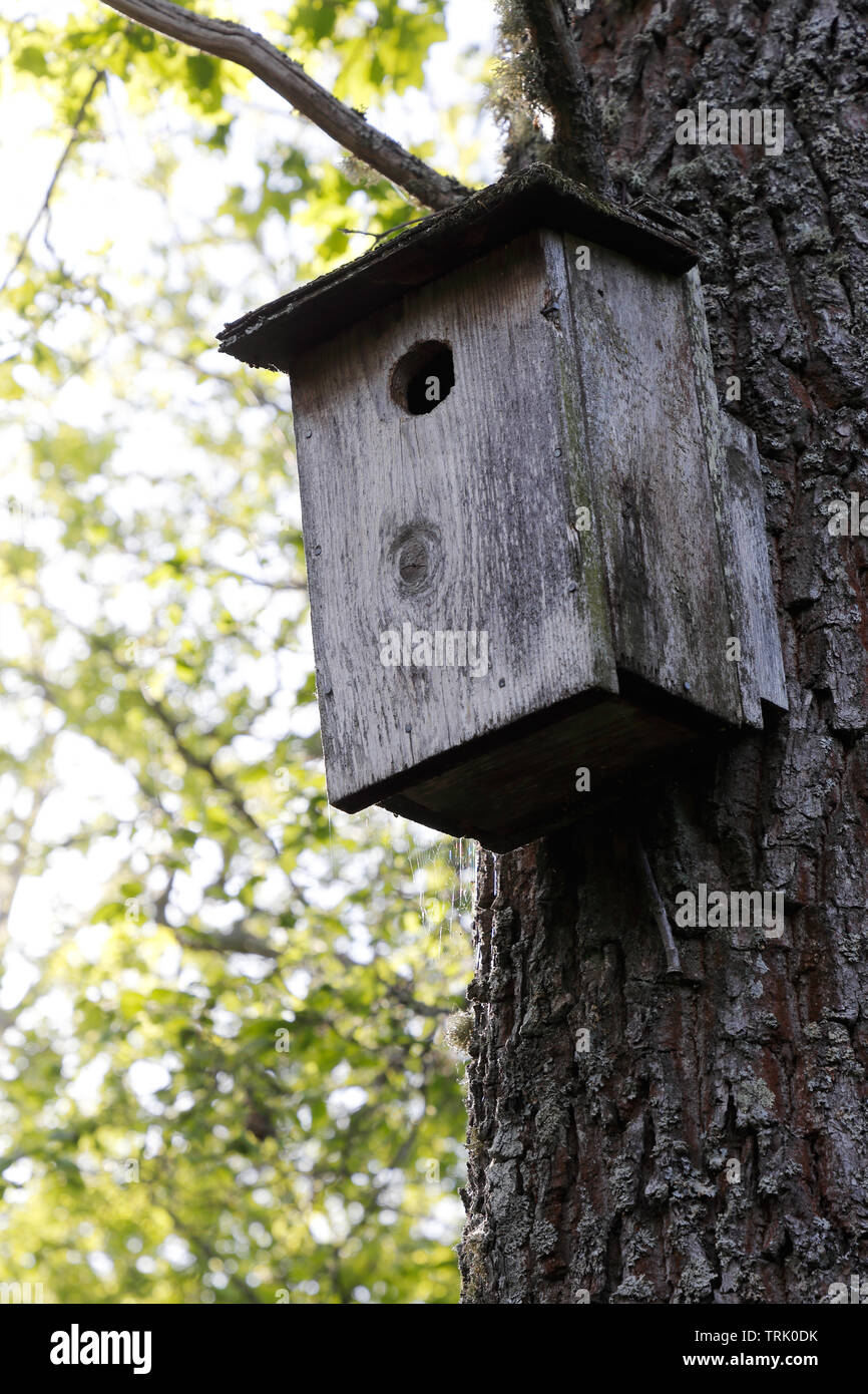 Nesting box hi-res stock photography and images - Alamy