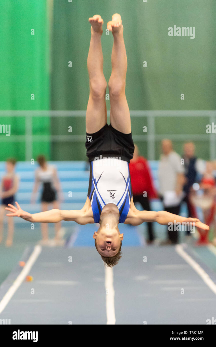 Sheffield, England, UK. 1 June 2019. James Appleton of Warrington Gymnastics Club in action during Spring Series 2 at the English Institute of Sport, Sheffield, UK. Stock Photo