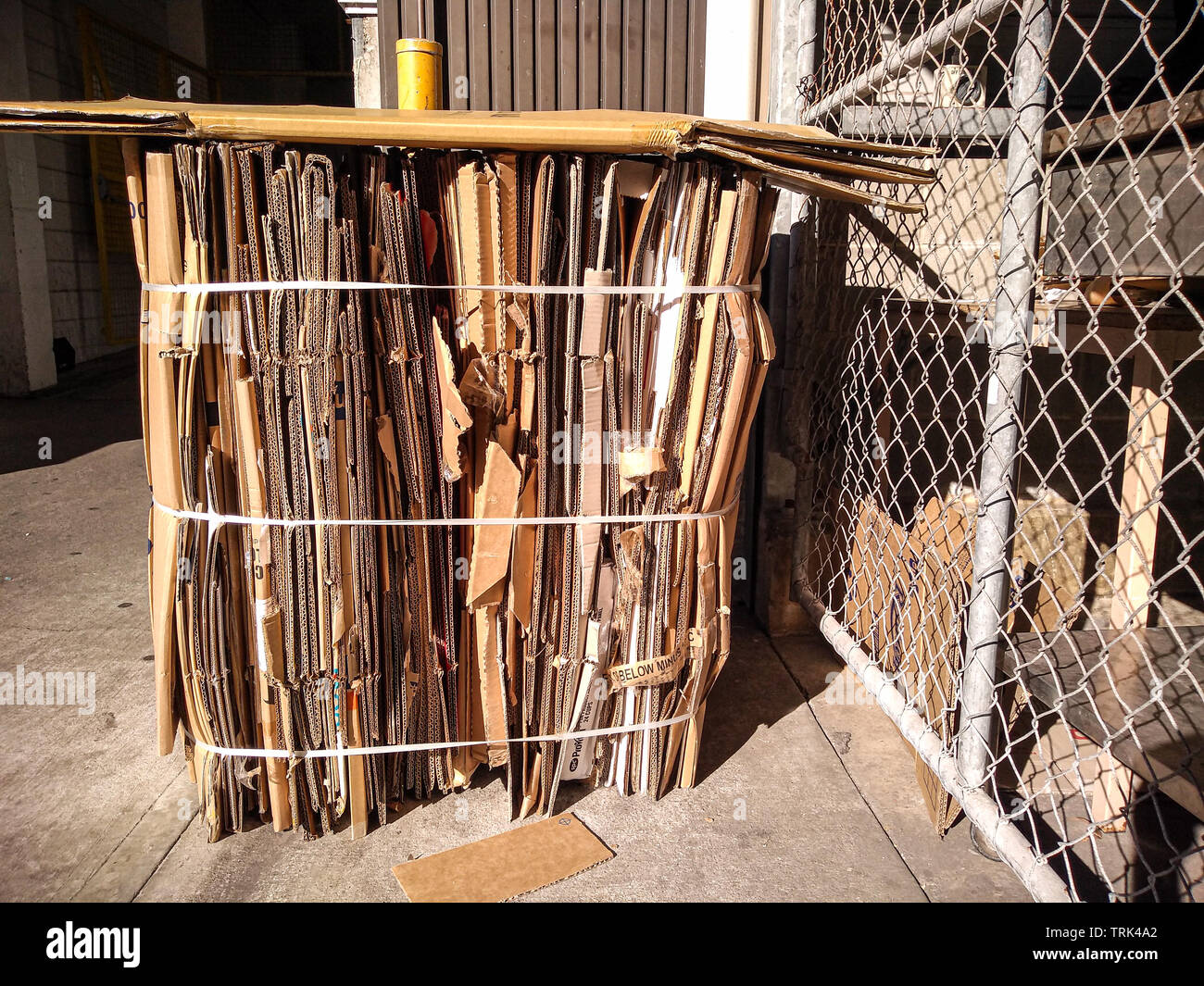 cardboard bale ready to be pickup for recycling Stock Photo Alamy