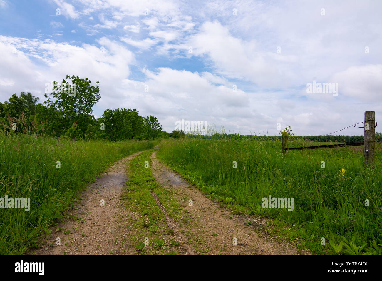 Dirt road through the Midwest countryside. Serena, Illinois, USA Stock