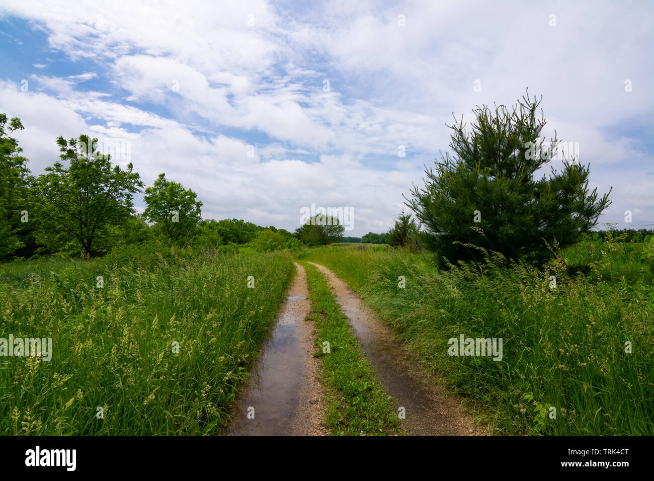Dirt road through the Midwest countryside. Serena, Illinois, USA Stock