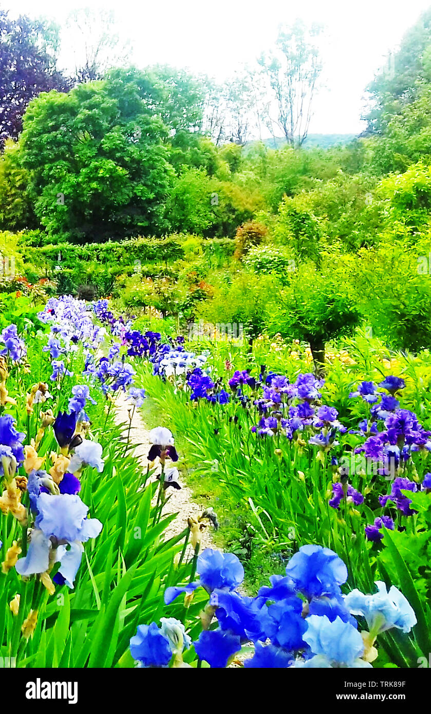 The garden of Claude Monet, the famous French impressionist painter ...