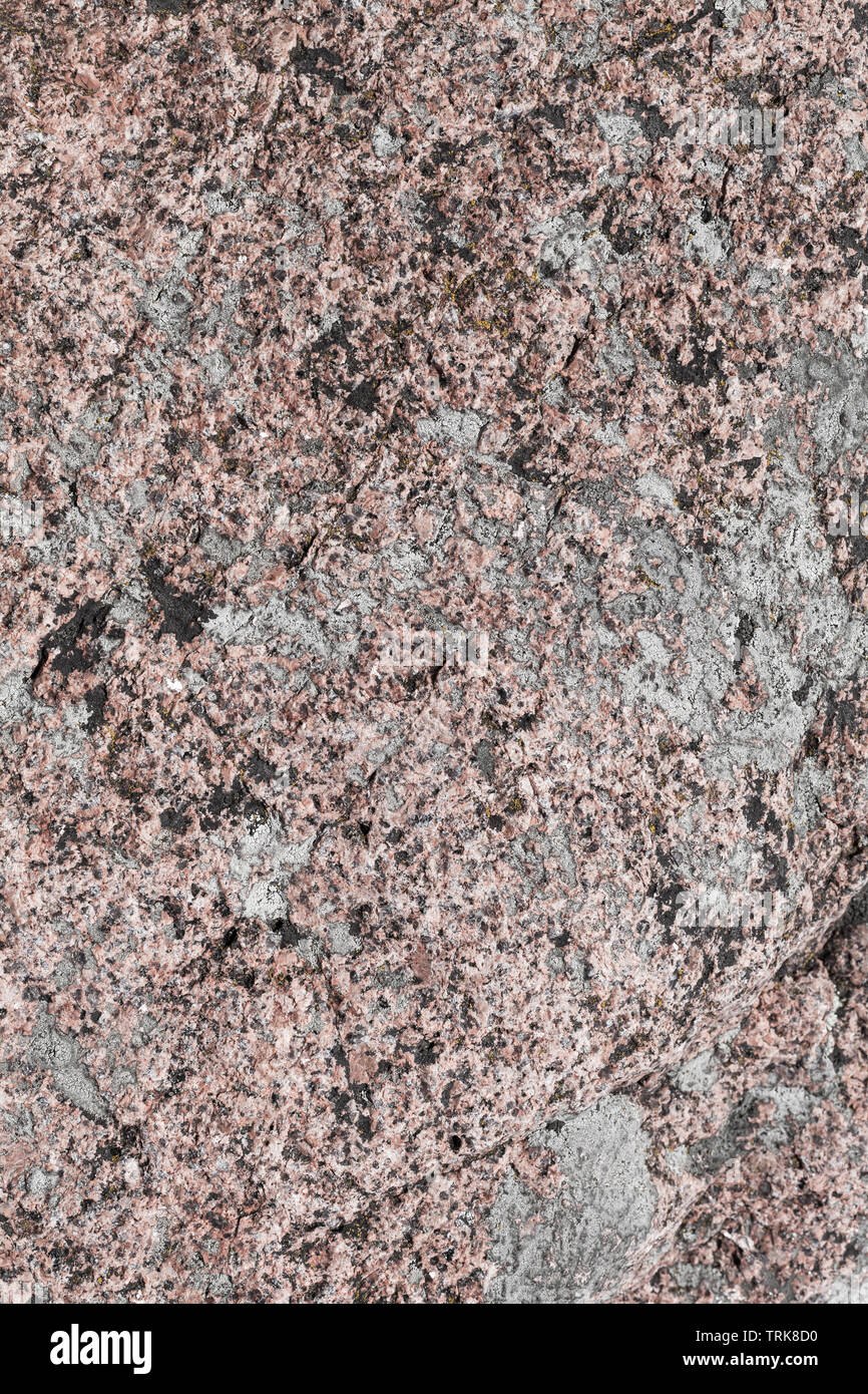 Natural granite stone with  lichen growing on it, vertical background photo texture Stock Photo