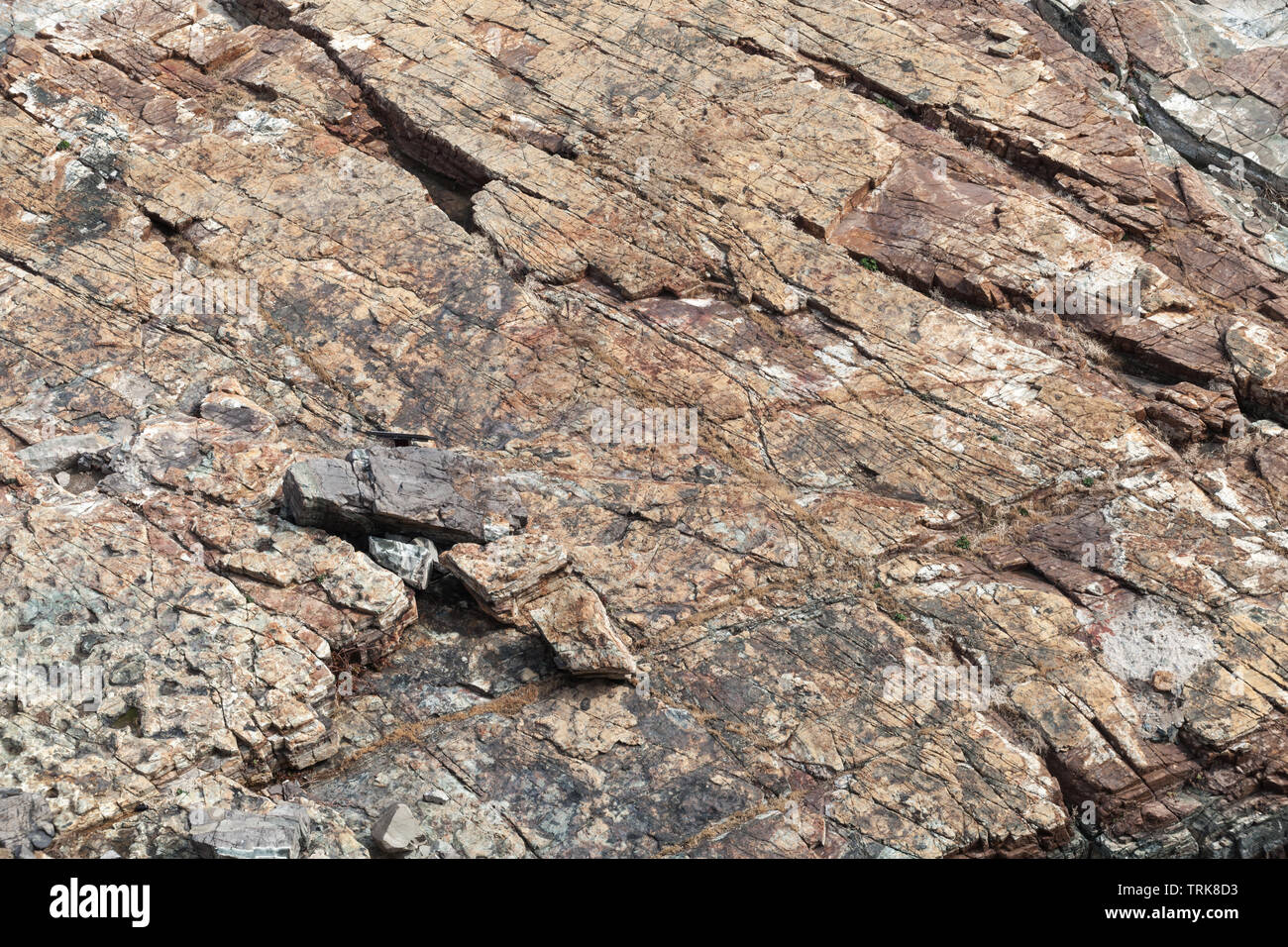 Rough coastal stone background photo texture Stock Photo