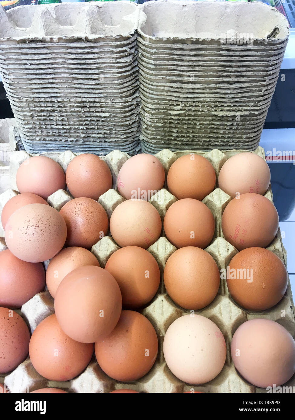 Organic eggs, France Stock Photo