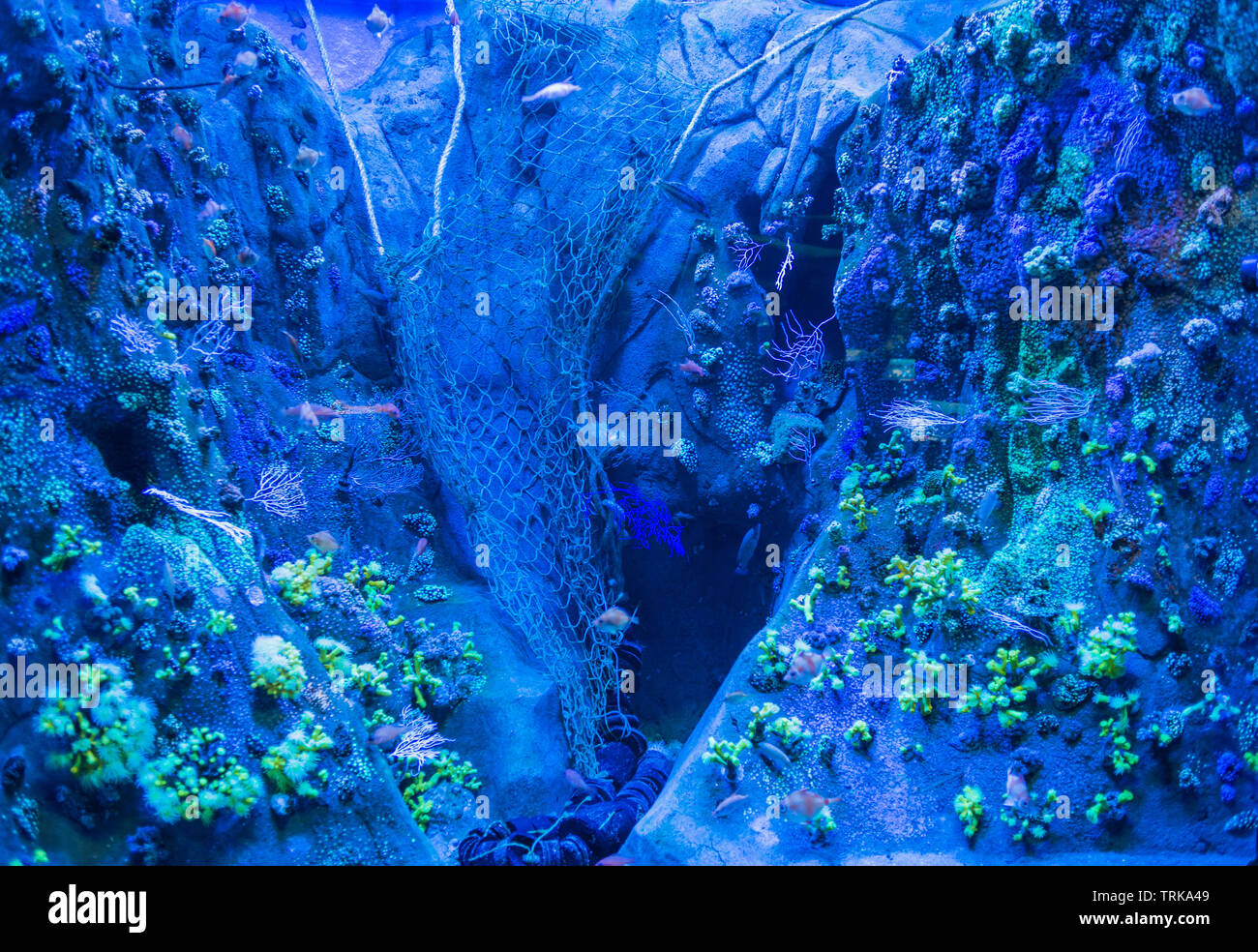 Photograph of a fishing net on the seabed that tries to show the