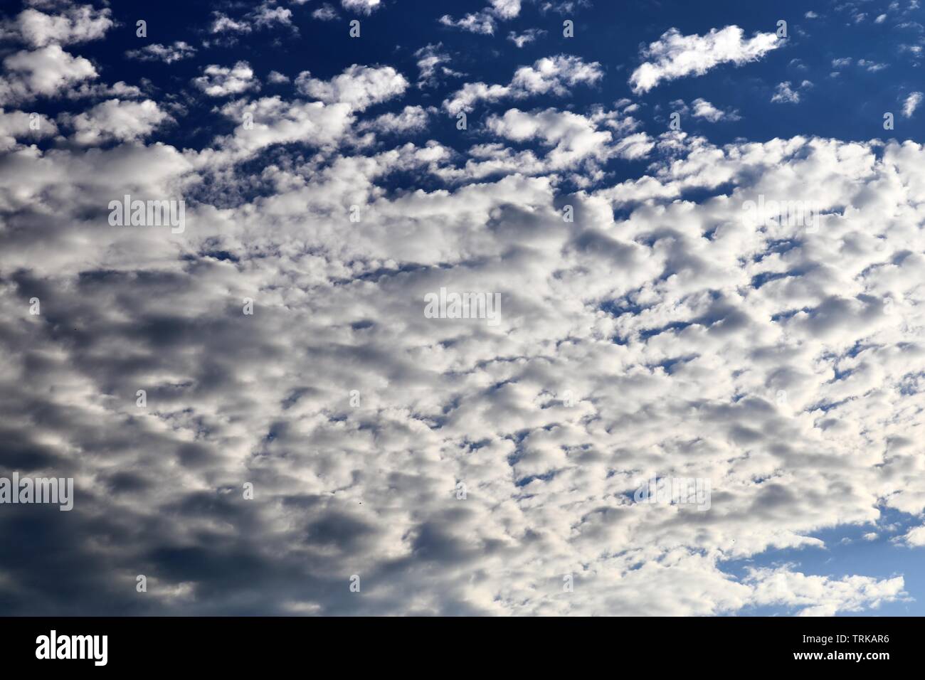 Beautiful calming fluffy white clouds in a deep blue summer sky Stock ...
