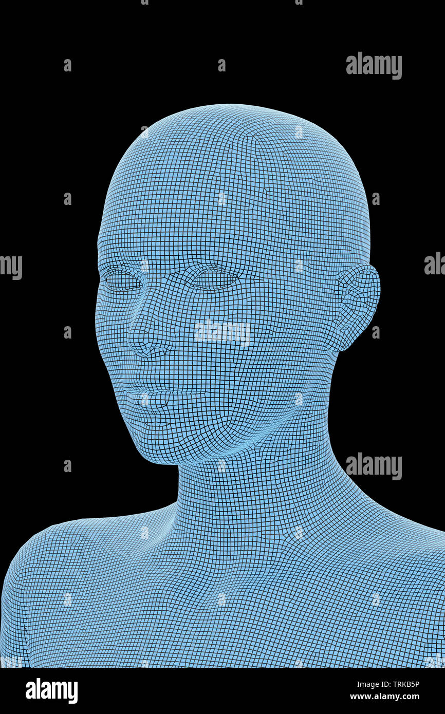 Woman's head. 3D Rendering image of female human body. Wireframe model isolated on black background. Stock Photo