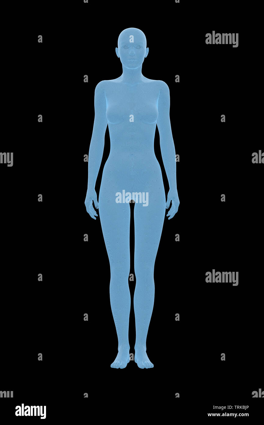 Woman's body. 3D Rendering image of female human body. Wireframe model  isolated on black background Stock Photo - Alamy