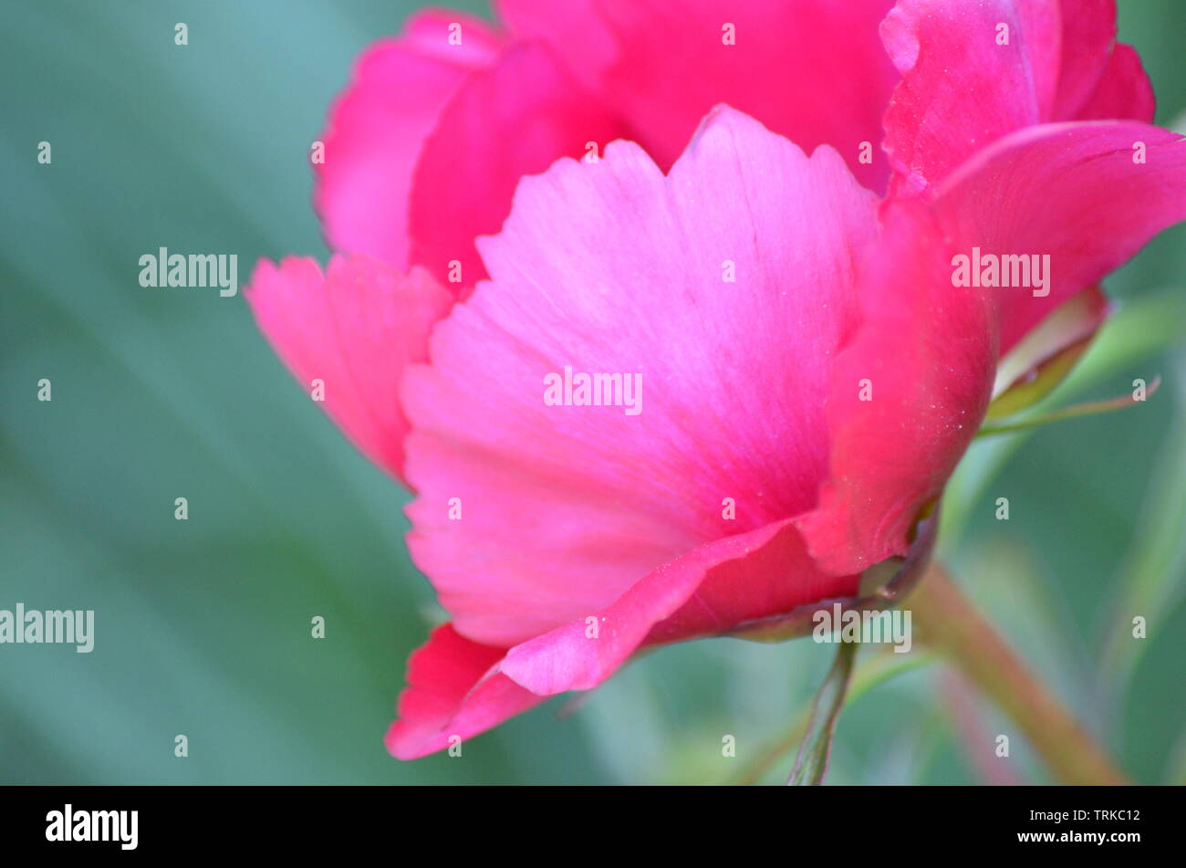 Beautiful photography hi-res stock photography and images - Alamy