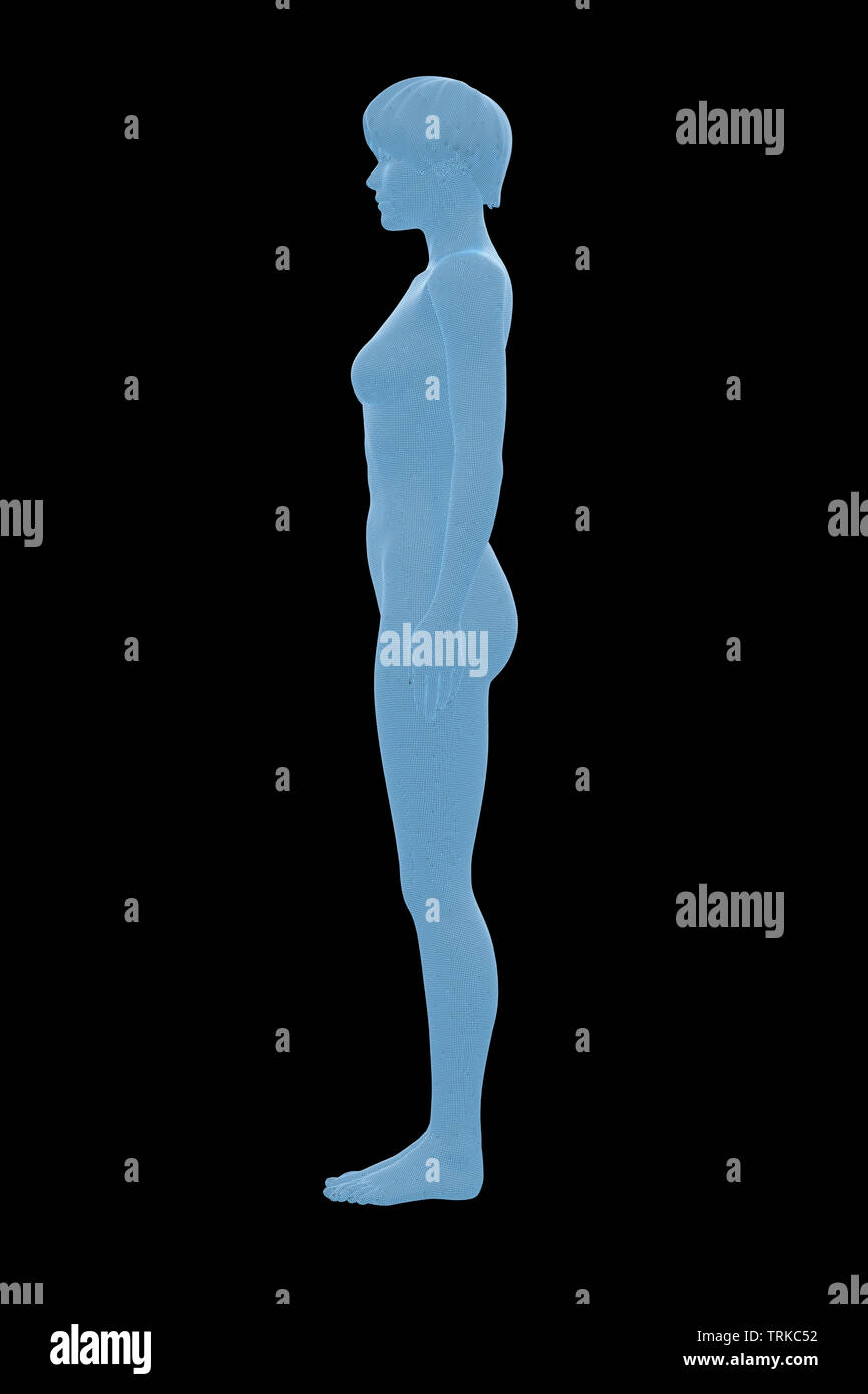Woman's body. 3D Rendering image of female human body. Wireframe model ...