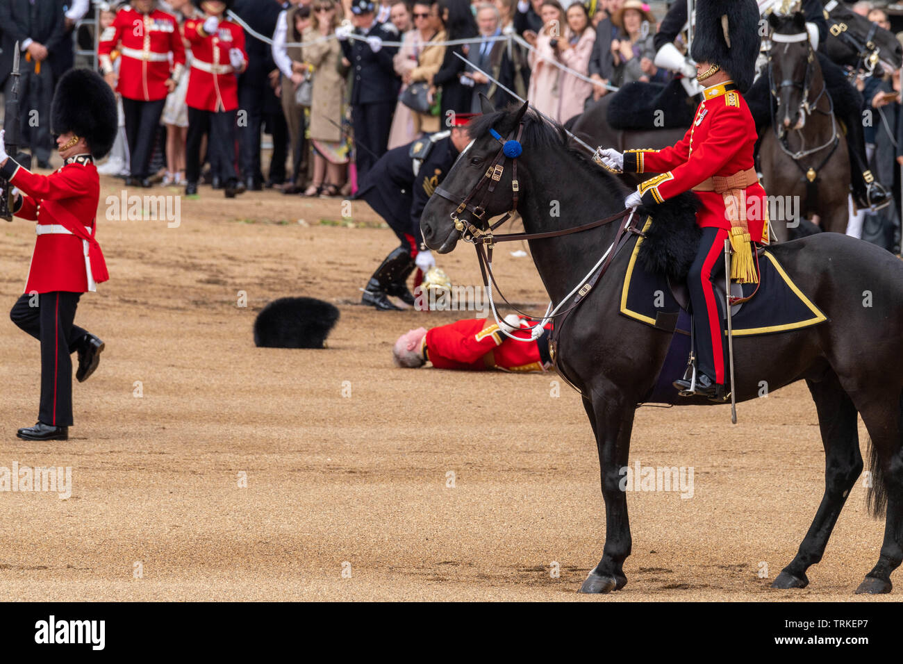 London, UK. 8th June 2019 Trooping the Colour 2019, The Queen's Birthday parade on Horseguards Parade London in the presence of Her Majesty The Queen.  Colour trooped by the 1st Battalion Grenadier Guards  A Guards office Major Niall Hall, of the Regimental Adjutant of the Irish Guards, came off his horse in the parade Credit Ian Davidson/Alamy Live News Stock Photo