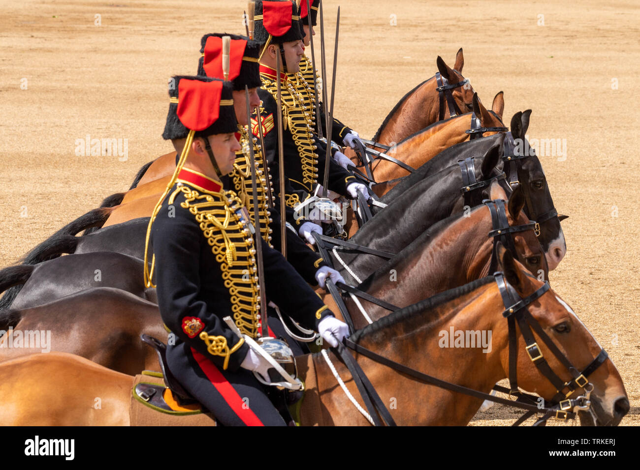 London, UK. 8th June 2019 Trooping the Colour 2019, The Queen's Birthday parade on Horseguards Parade London in the presence of Her Majesty The Queen.  Colour trooped by the 1st Battalion Grenadier Guards Royal Horse Artillery  Credit Ian Davidson/Alamy Live News Stock Photo
