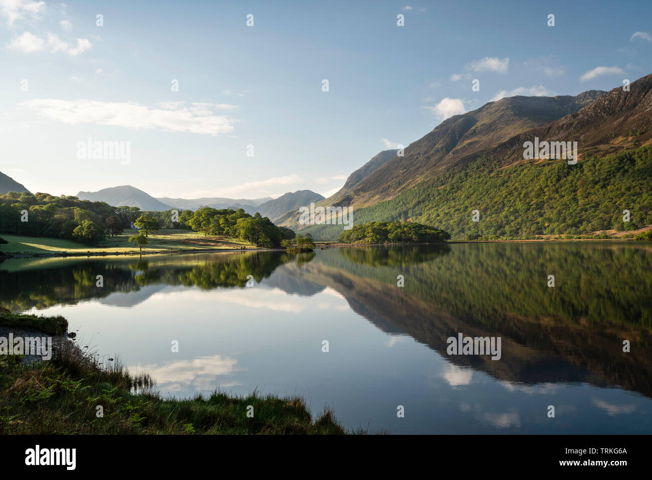 Spring time reflections of woodland and fells at Crummock Water, Lake District National Park, England, UK Stock Photo