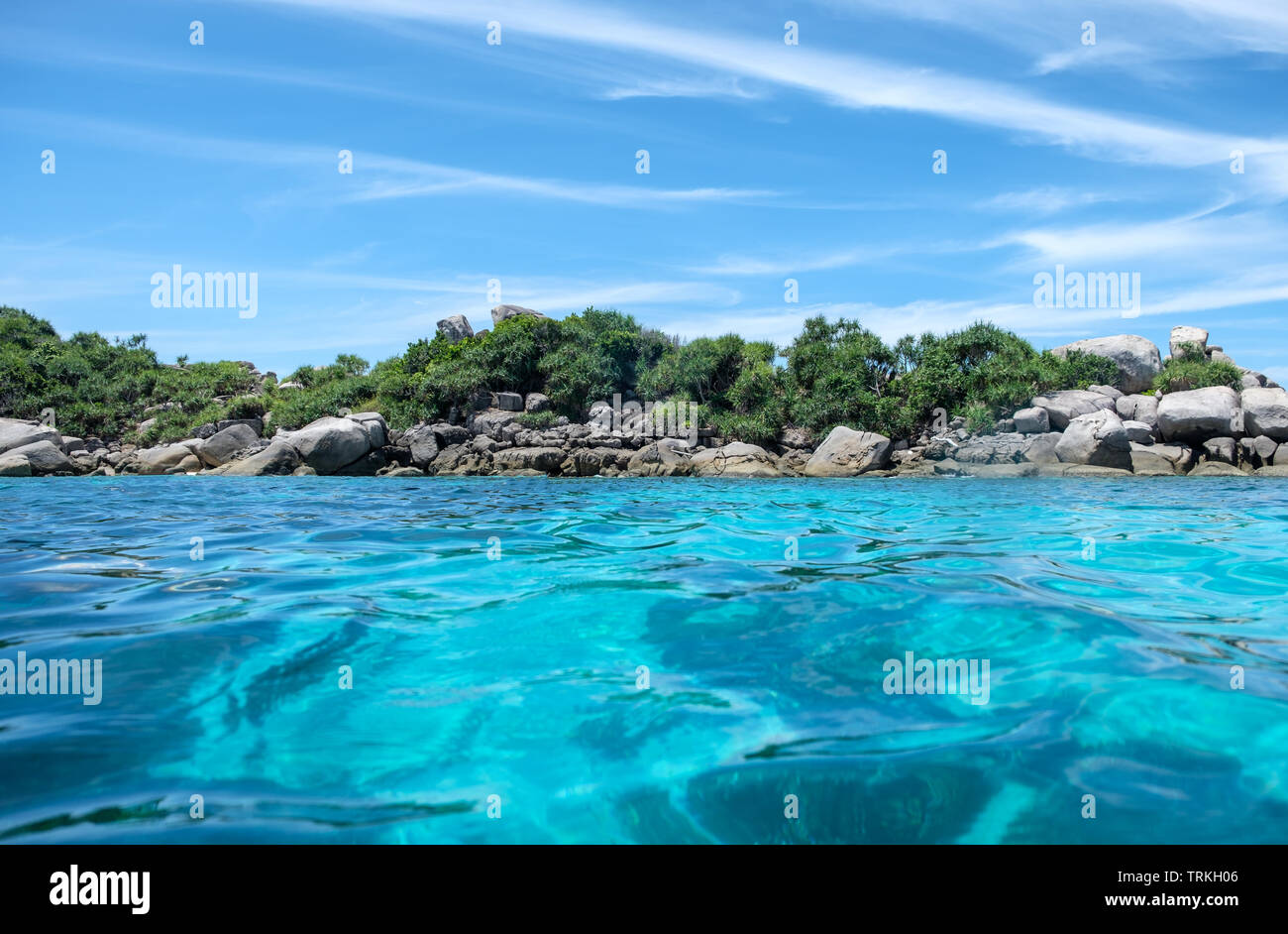 Beautiful sea tree rocks hi-res stock photography and images - Alamy