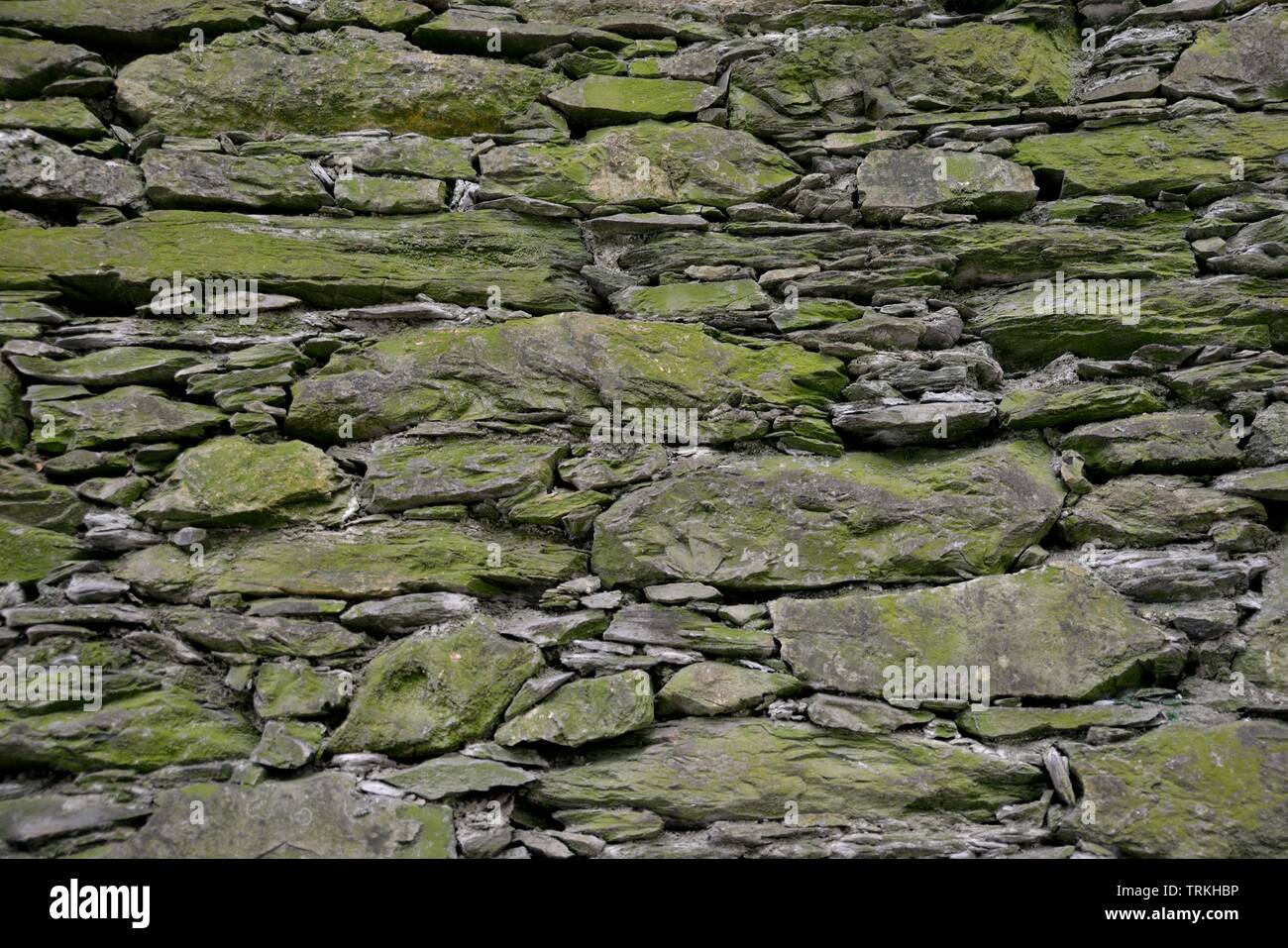 Weathered old stone wall background green moss Stock Photo