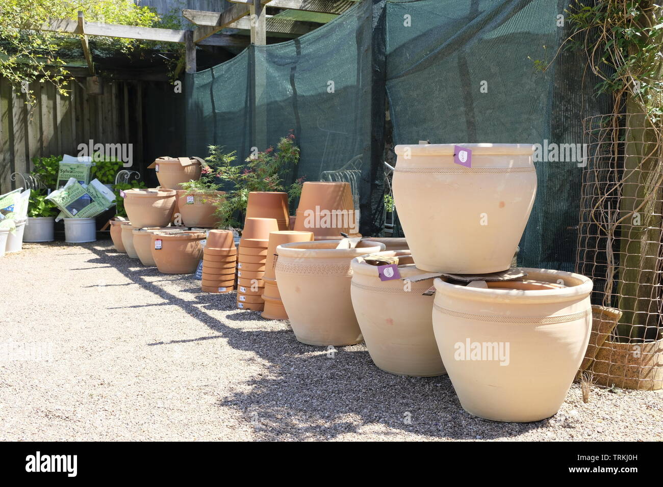 Large terracotta pots hi-res stock photography and images - Alamy