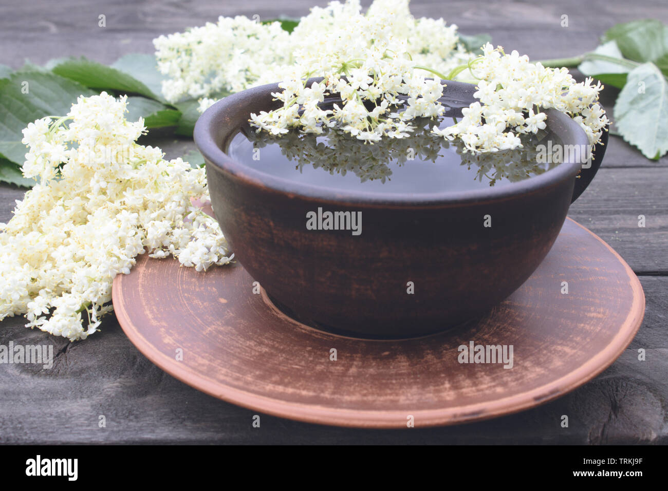 a cup of Elderflower tea with fresh flowers. Healthy Medicine
