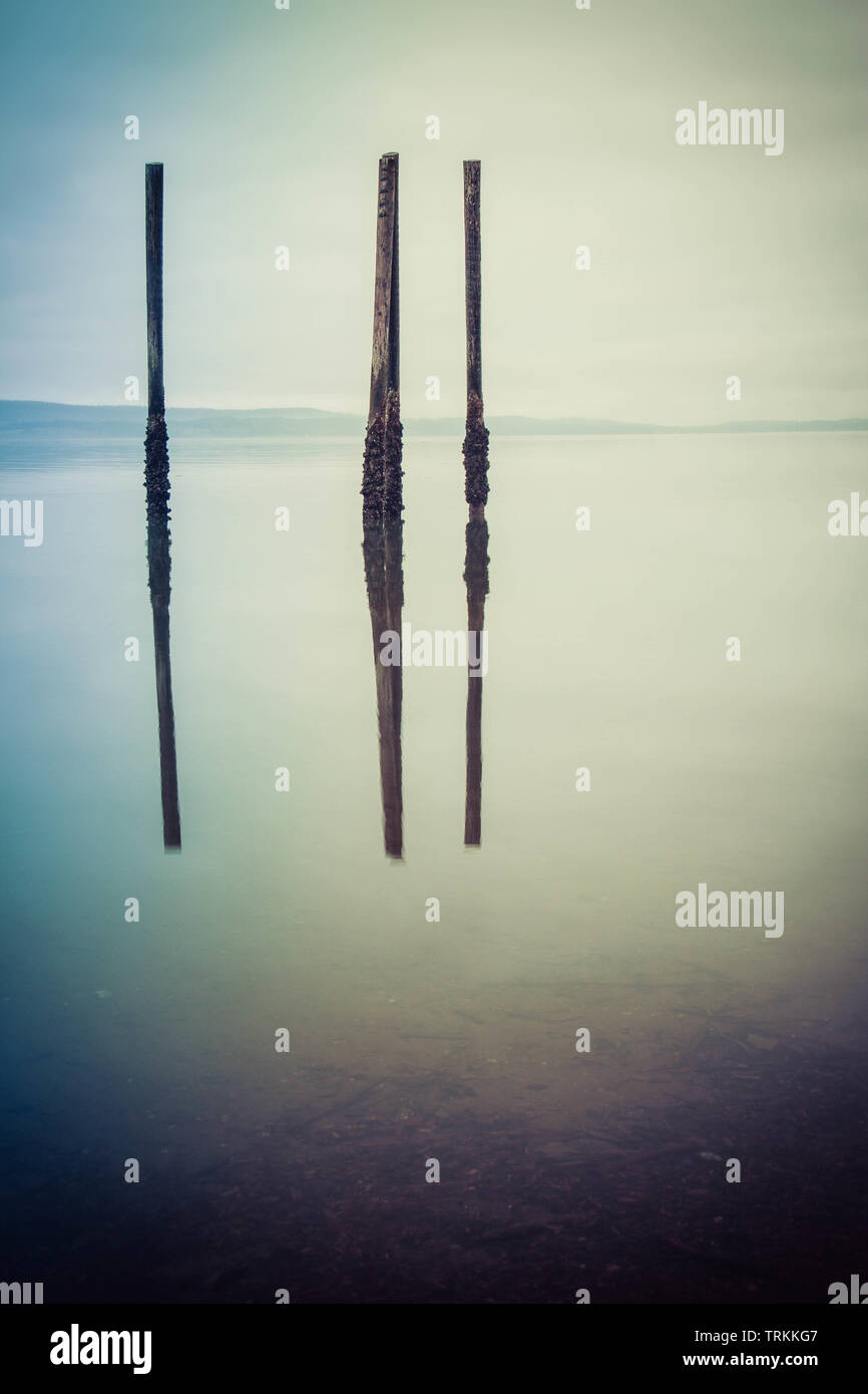 A gloomy image of the calm ocean with wood pilings standing free and reflecting in the water. Stock Photo