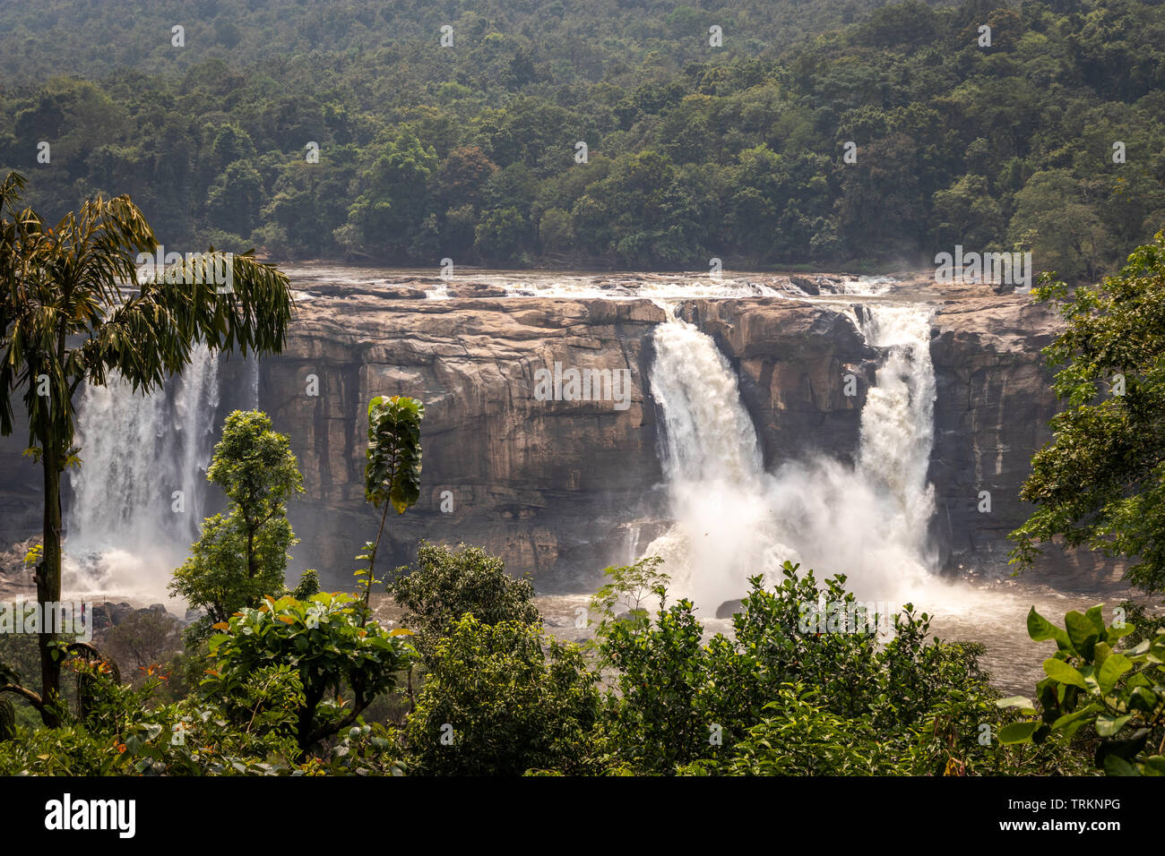 This is the athirapally waterfall kerala india in the middle of the western ghat range. It is falling from 80 mtrs high hill and it is the second larg Stock Photo