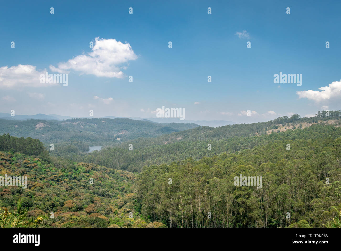 Colorful forest with blue sky image is taken at kodaikanal showing the amazing nature Stock Photo