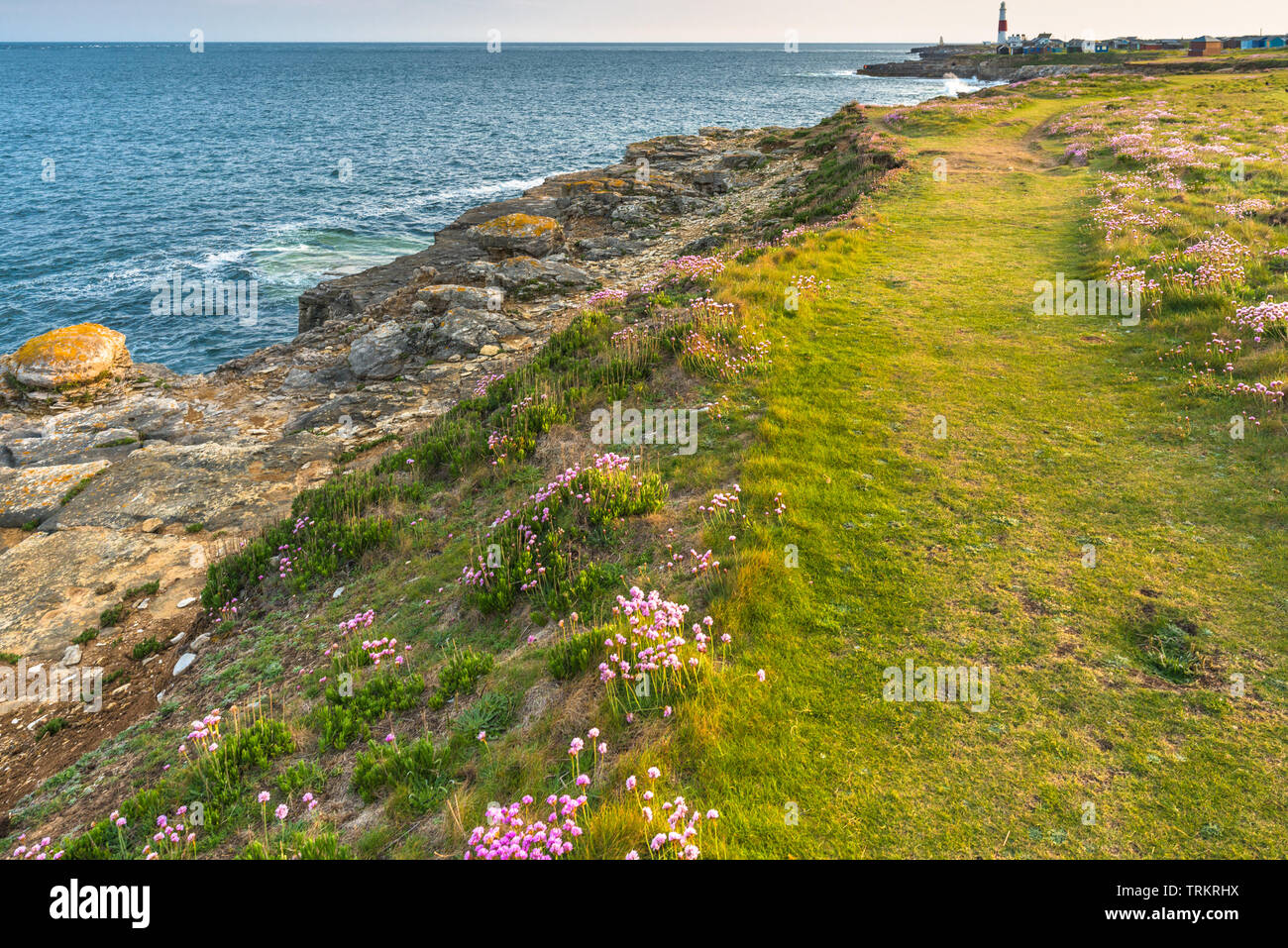 Dramatic coastal scenery at Portland Bill on the Isle of Portland ...