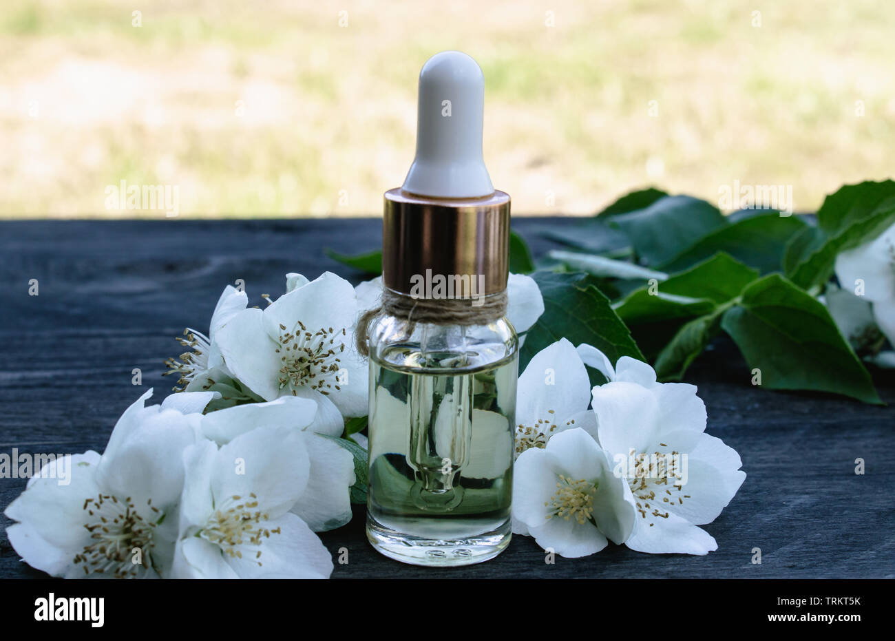 A bottle with cosmetic, massage aromatic jasmine oil. Jasmine flowers