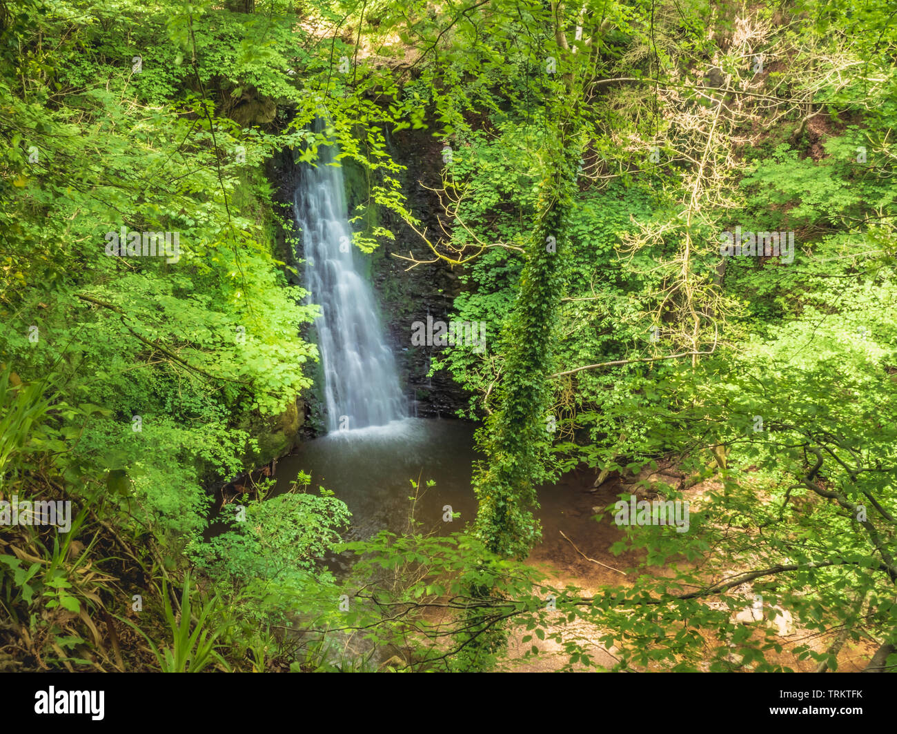 Falling Foss waterfall near Whitby in North Yorkshire through the trees Stock Photo